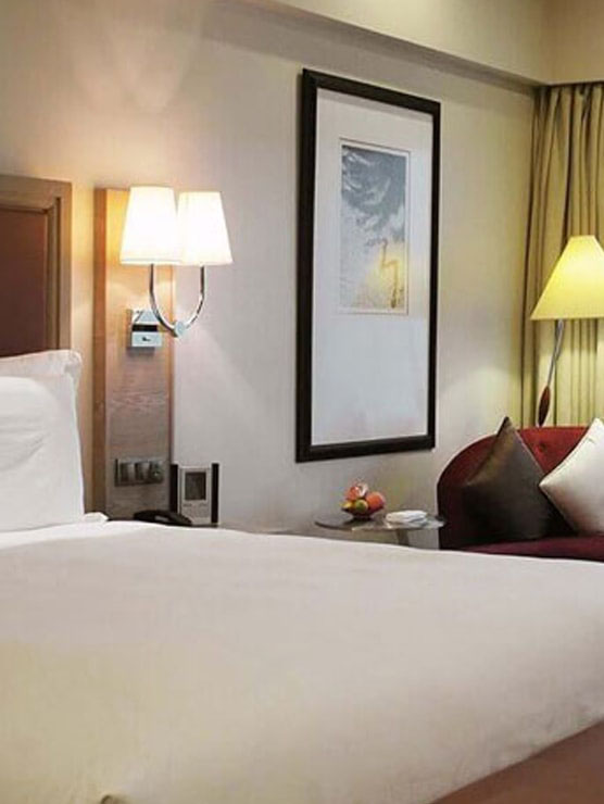 Hotel in patna near juction